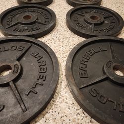 Six Weight Plates - 210lbs Total