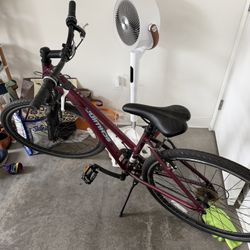 Schwinn GTX 3