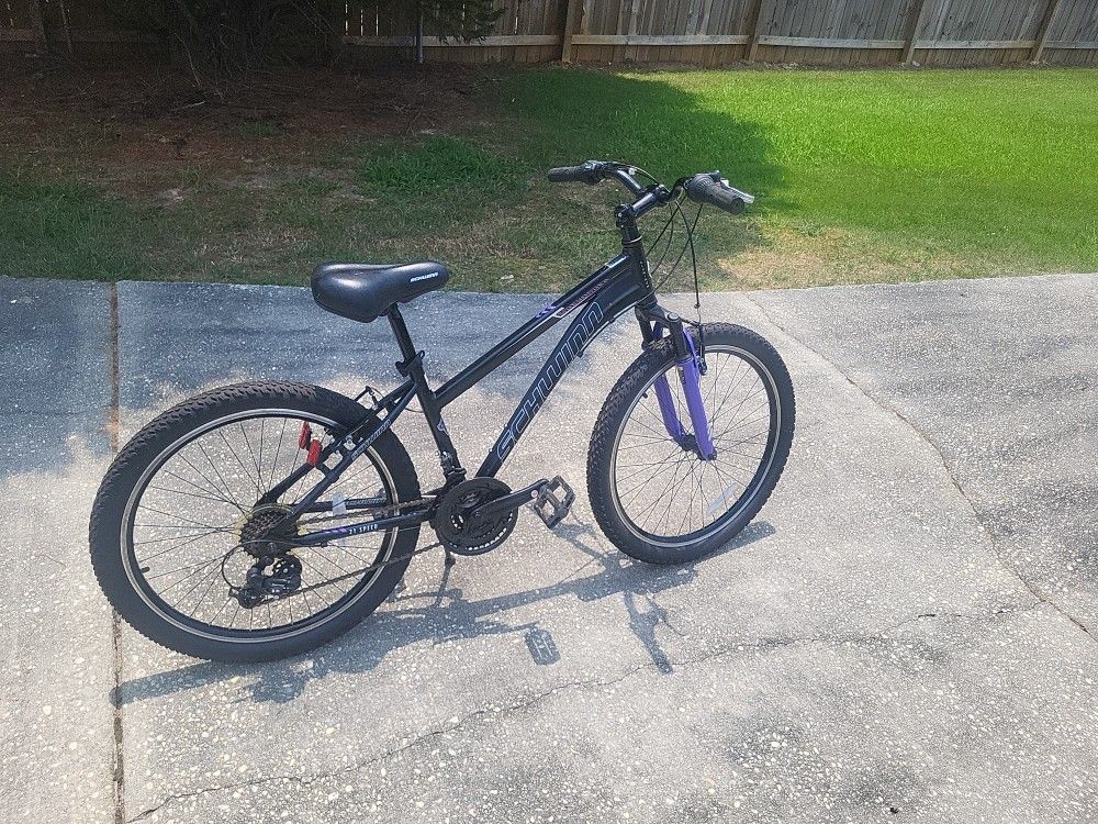 24" Sidewinder Schwinn