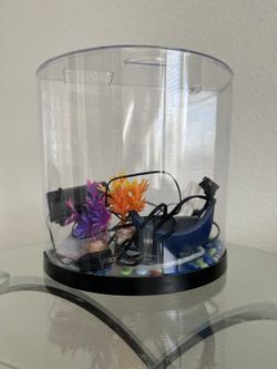 Aquarium With Filter & Lights Everything Working
