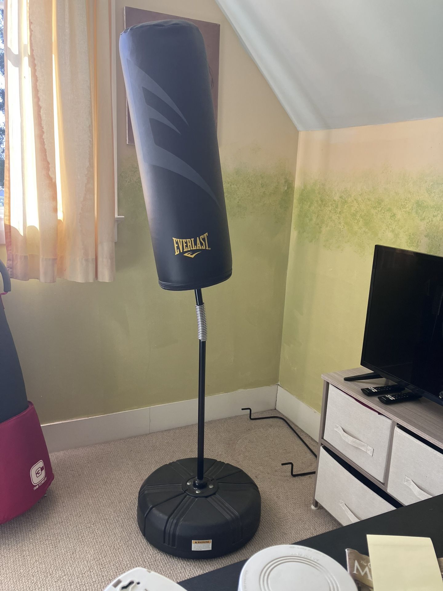 Everlast Punching bag