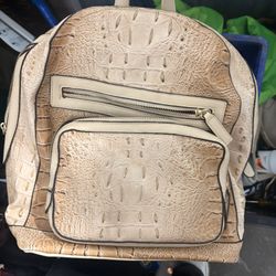 Crocodile Skin Purse