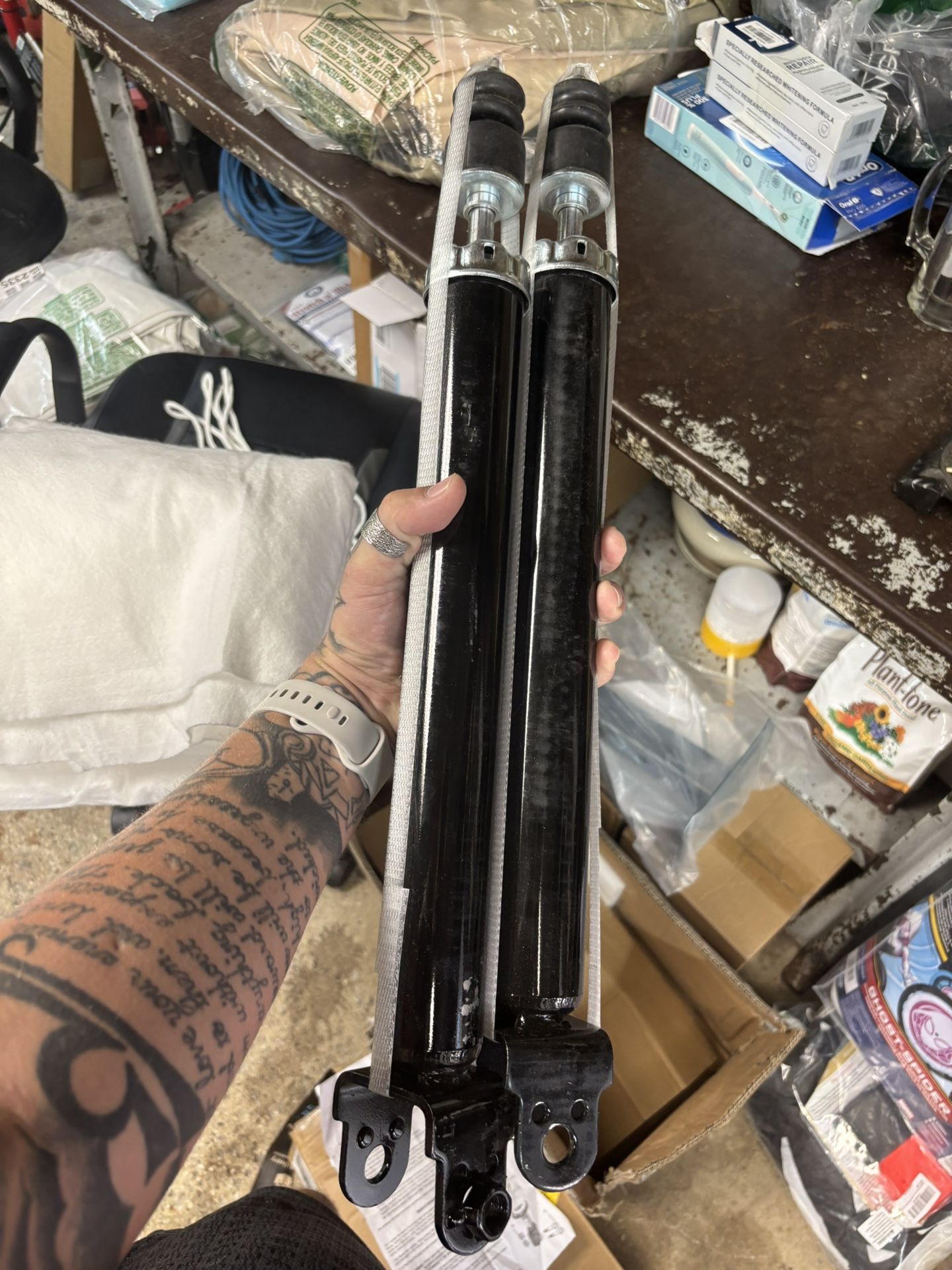 Strut and shock assembly