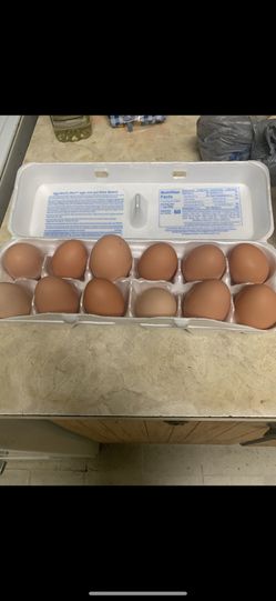 Dozen Eggs
