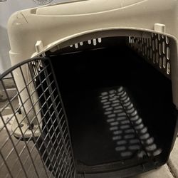 Large Crate
