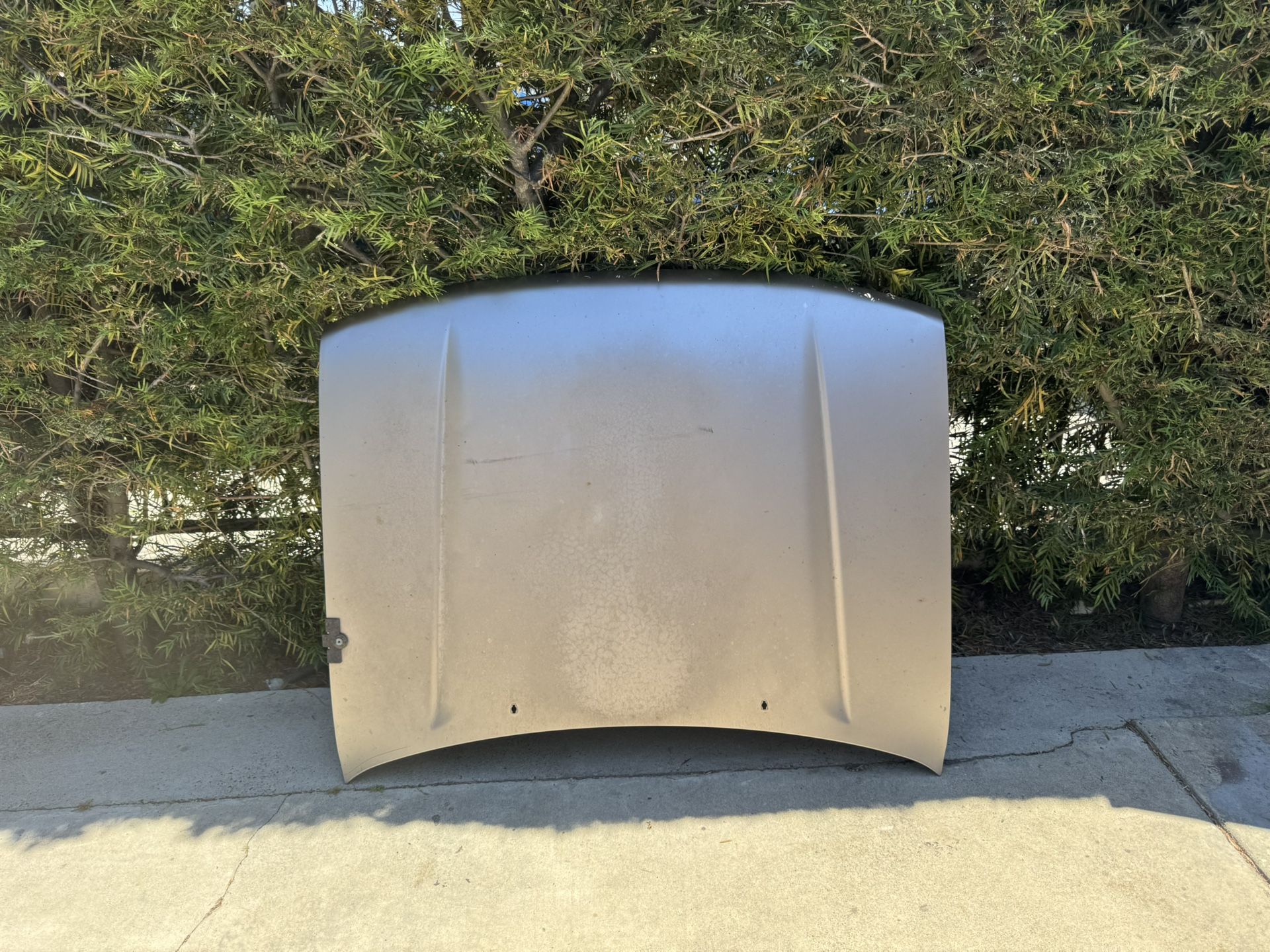 2001 Toyota 4Runner Hood – 3rd Gen – Thunder Cloud Metallic (1D2)