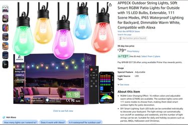 Outdoor Smart String Lights,