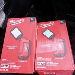 Milwaukee Flood Light 