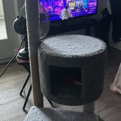 Cat Tower
