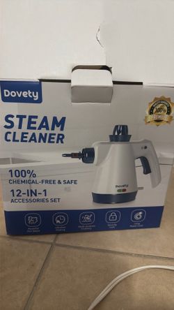 Steam Cleaner