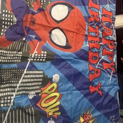 Spiderman Backdrop Banner