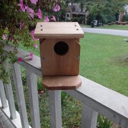 Bird House