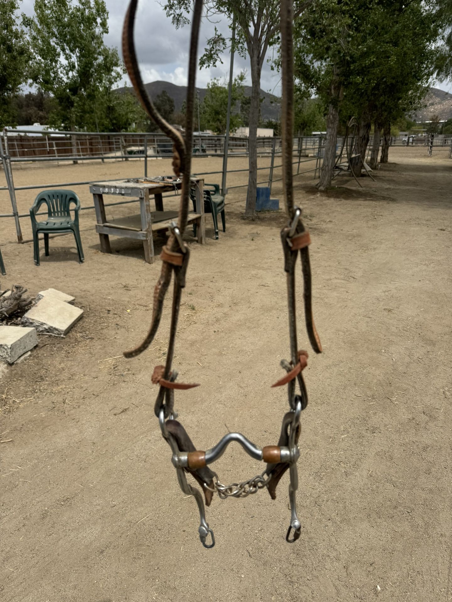 Freno Para Caballo Horse Bit
