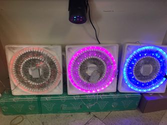 100 LED Christmas lights. 28 feet long
