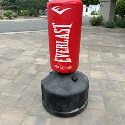 Everlast Elite Punching Bag