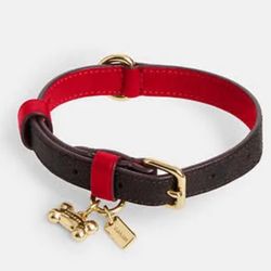 Cane corso dog Collar For Pups
