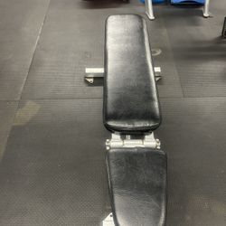 True Fitness Bench