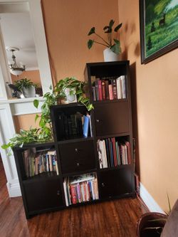 Shelves For Books And Plants