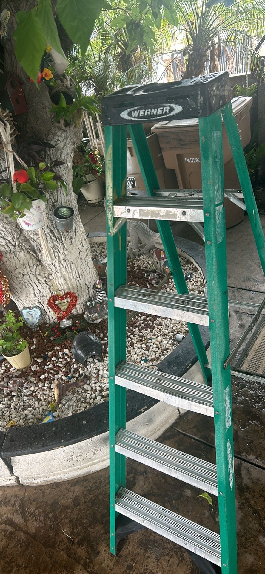 Werner Ladder 6ft