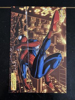 Spider-Man Card