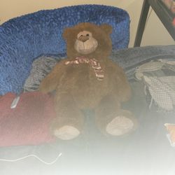 Large Bear Plushie
