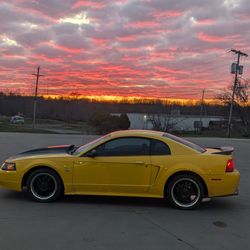 1999 Ford Mustang