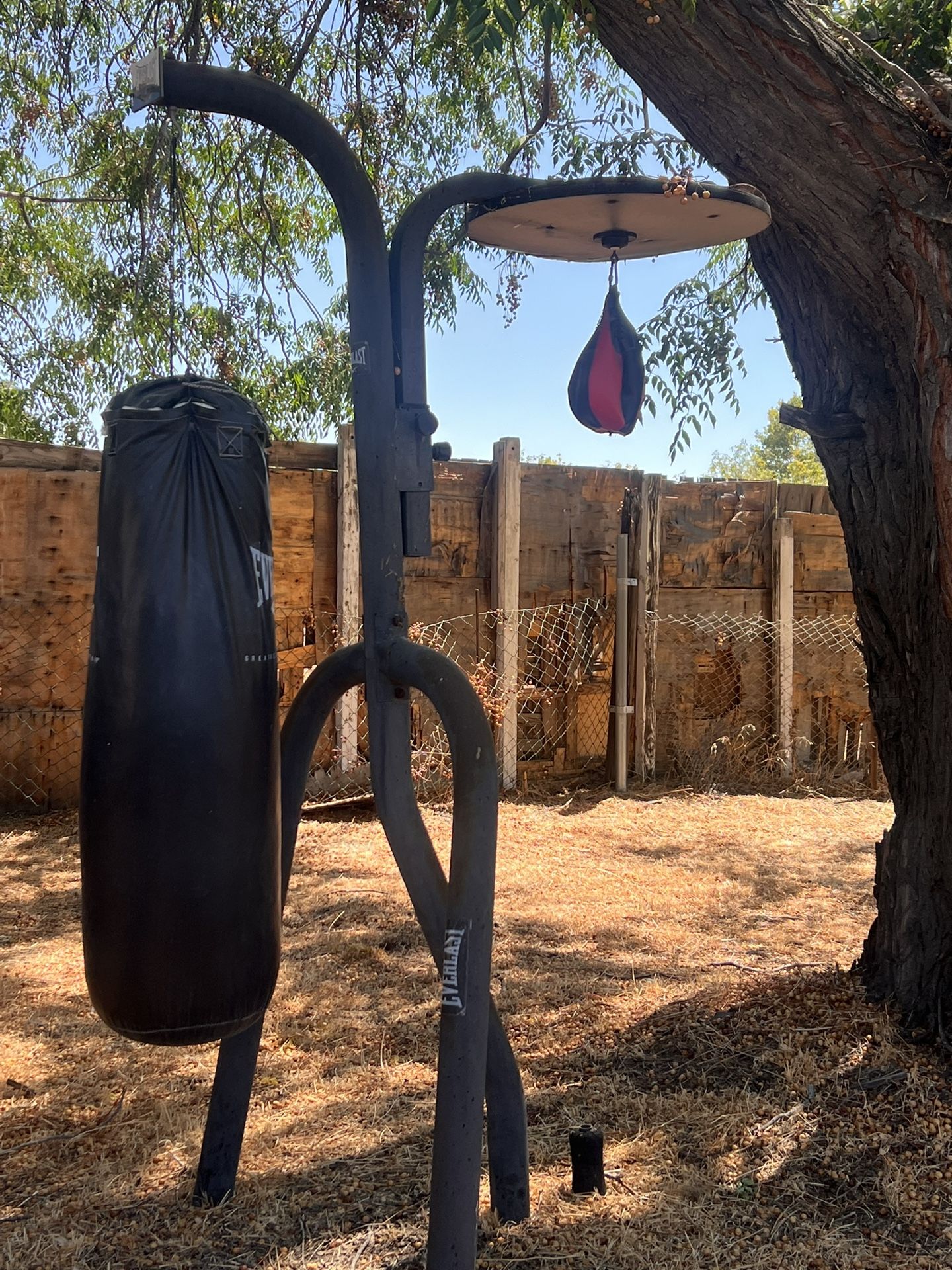 $5 EVERLAST HEAVY SPEED BAG JULY 28