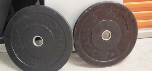 Rogue Echo Plates 10 lbs (Cracked) Pair