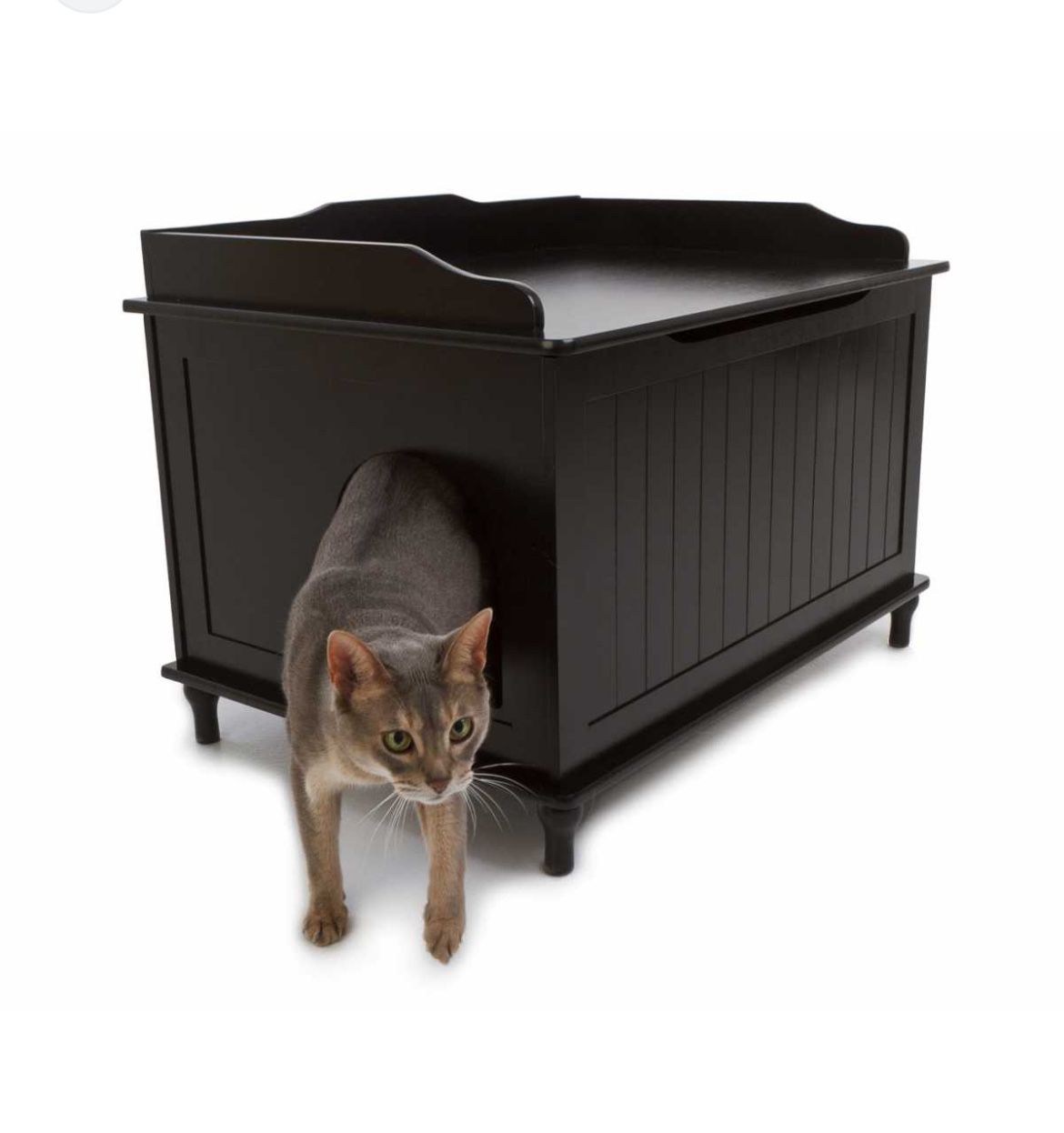Designer Cat box 