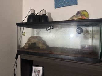 Reptile tank