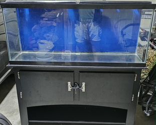 55g Glass Aquarium, Stand and Equipment