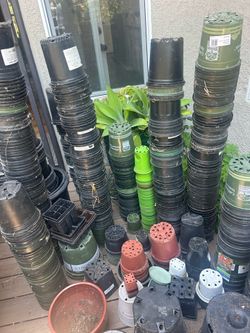 Planting Pots