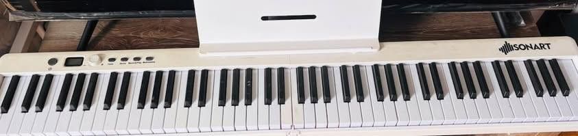 88 Sonart Keyboard With Case/ Bag