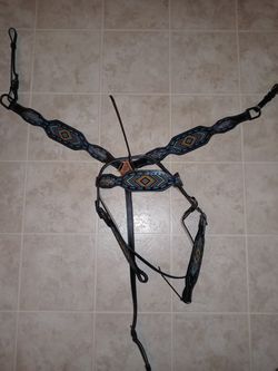 Horse tack...New