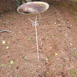 Bird Bath