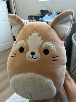 Squishmallow 12" Katta the Fennec Fox Desert Squad Soft Plush New with Tags (NEGOTIABLE)