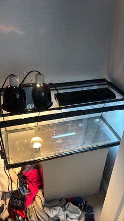 Bearded dragon tank