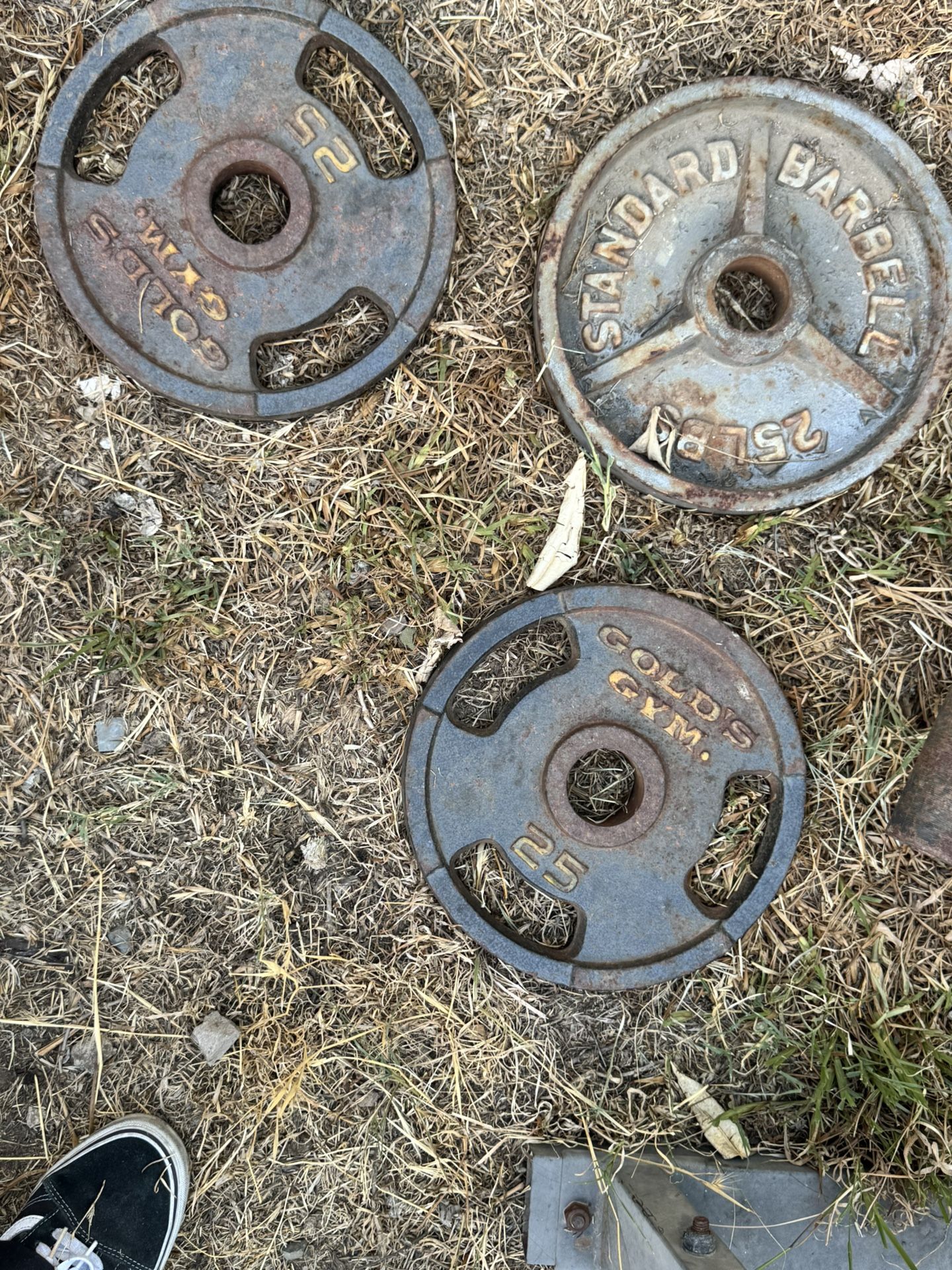 25 Lb Weight Plates