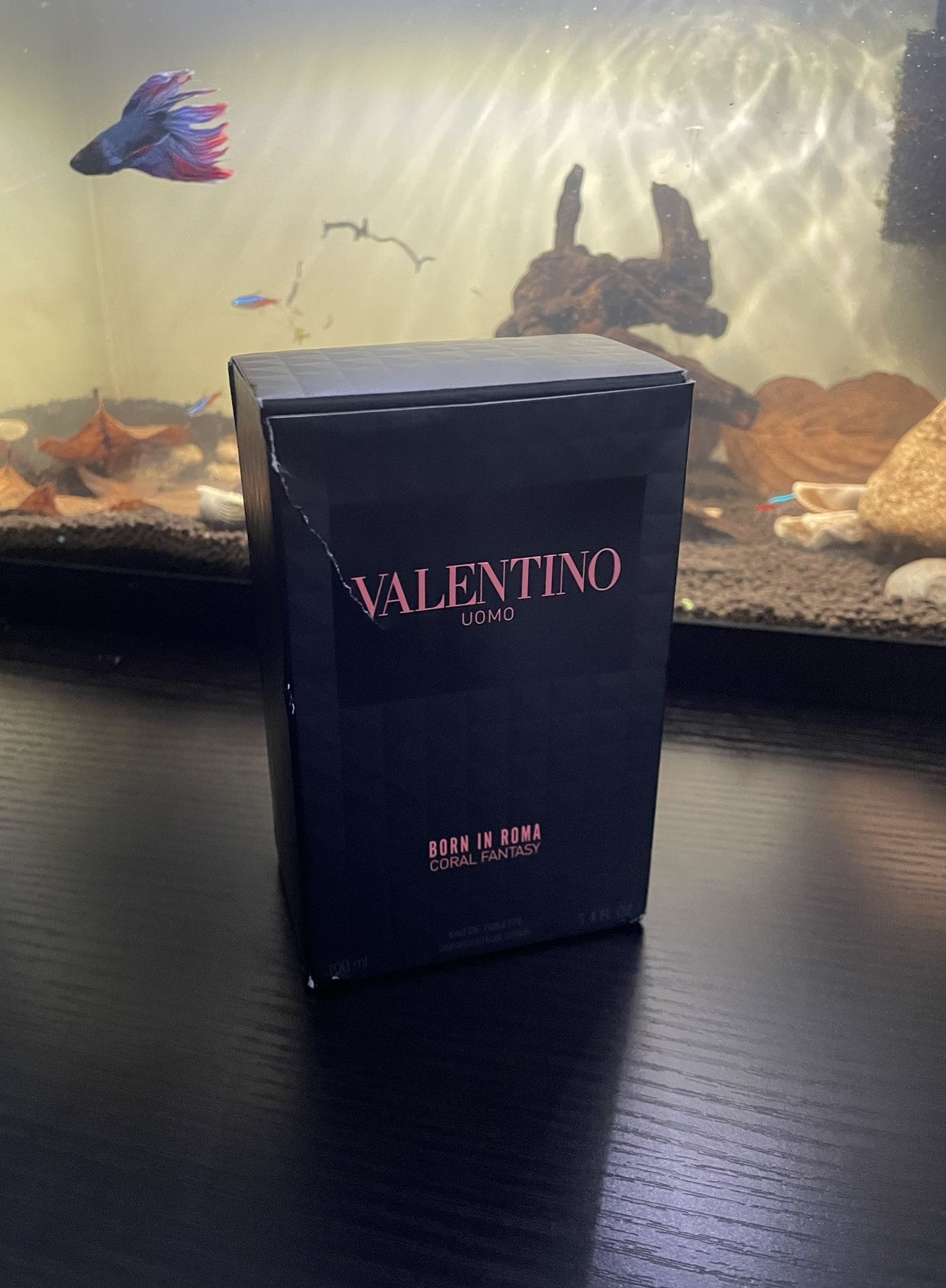 Valentino Born In Roma