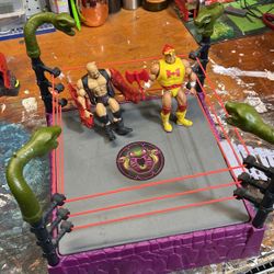 MASTERS OF THE WWE UNIVERSE 