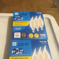 25w Led Light Bulbs Type BA10