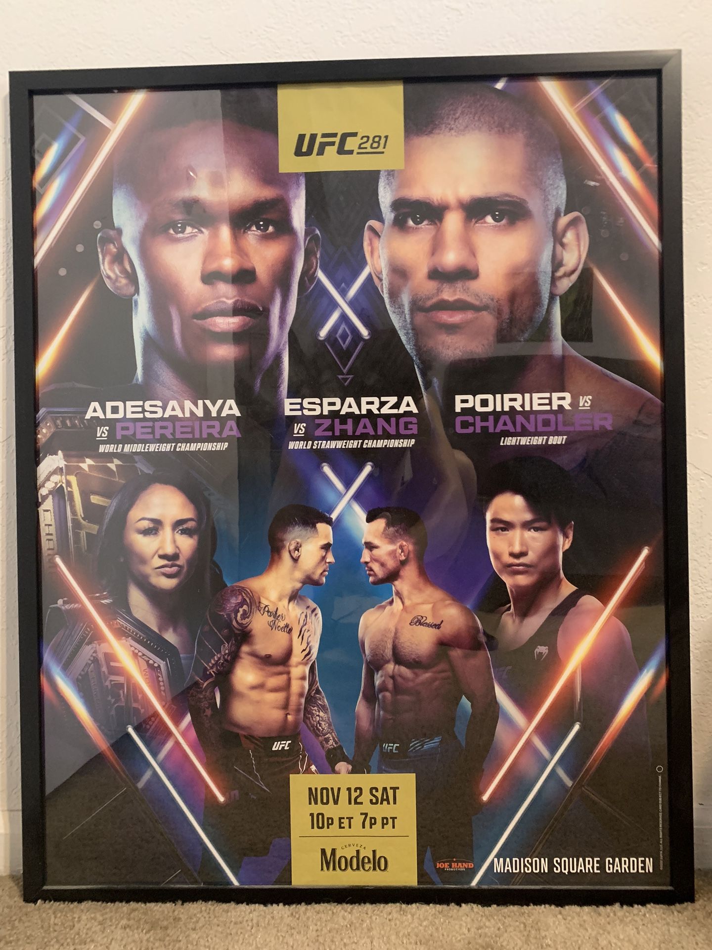 UFC 281 Poster