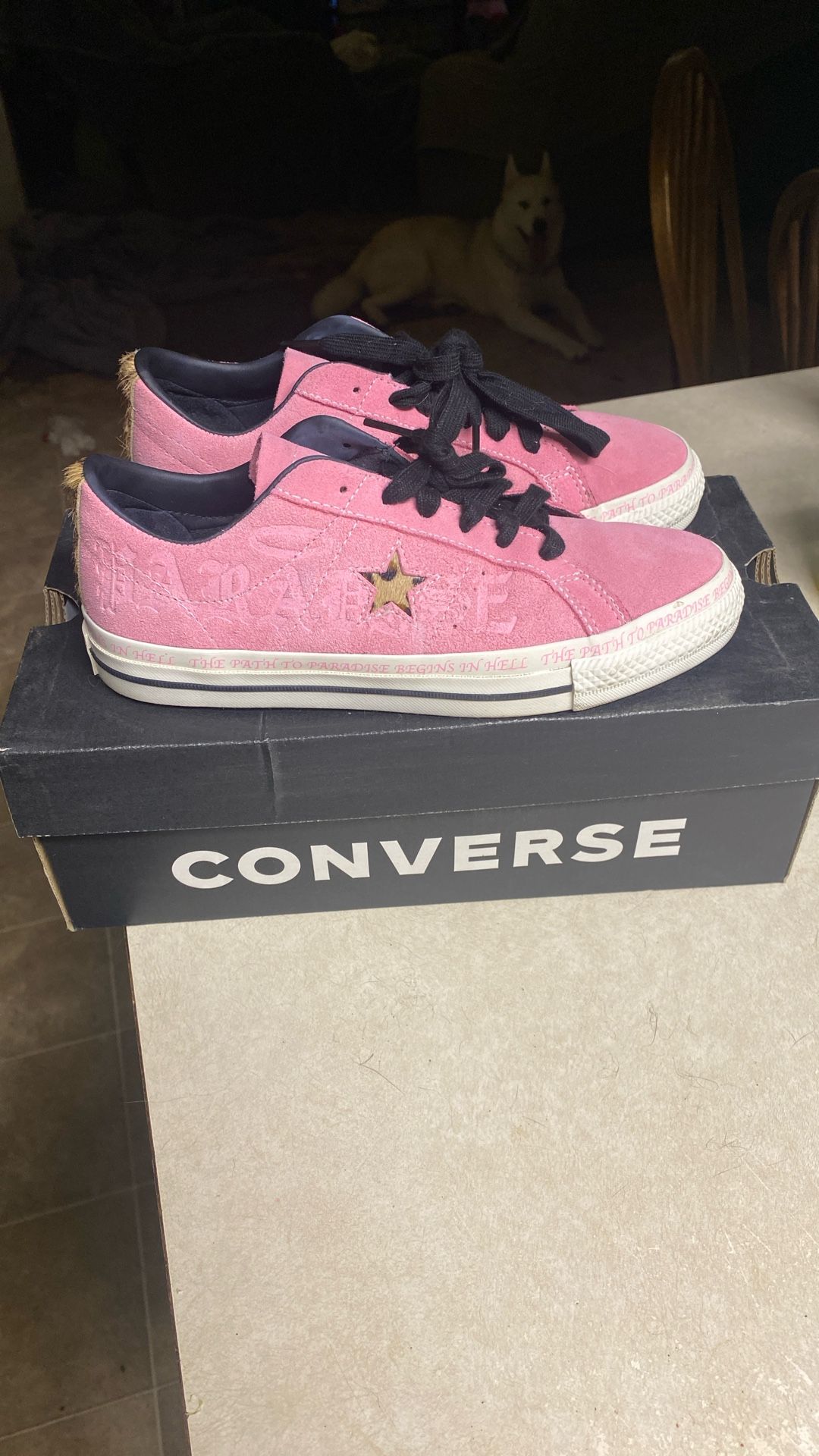 one star converse cheeta print