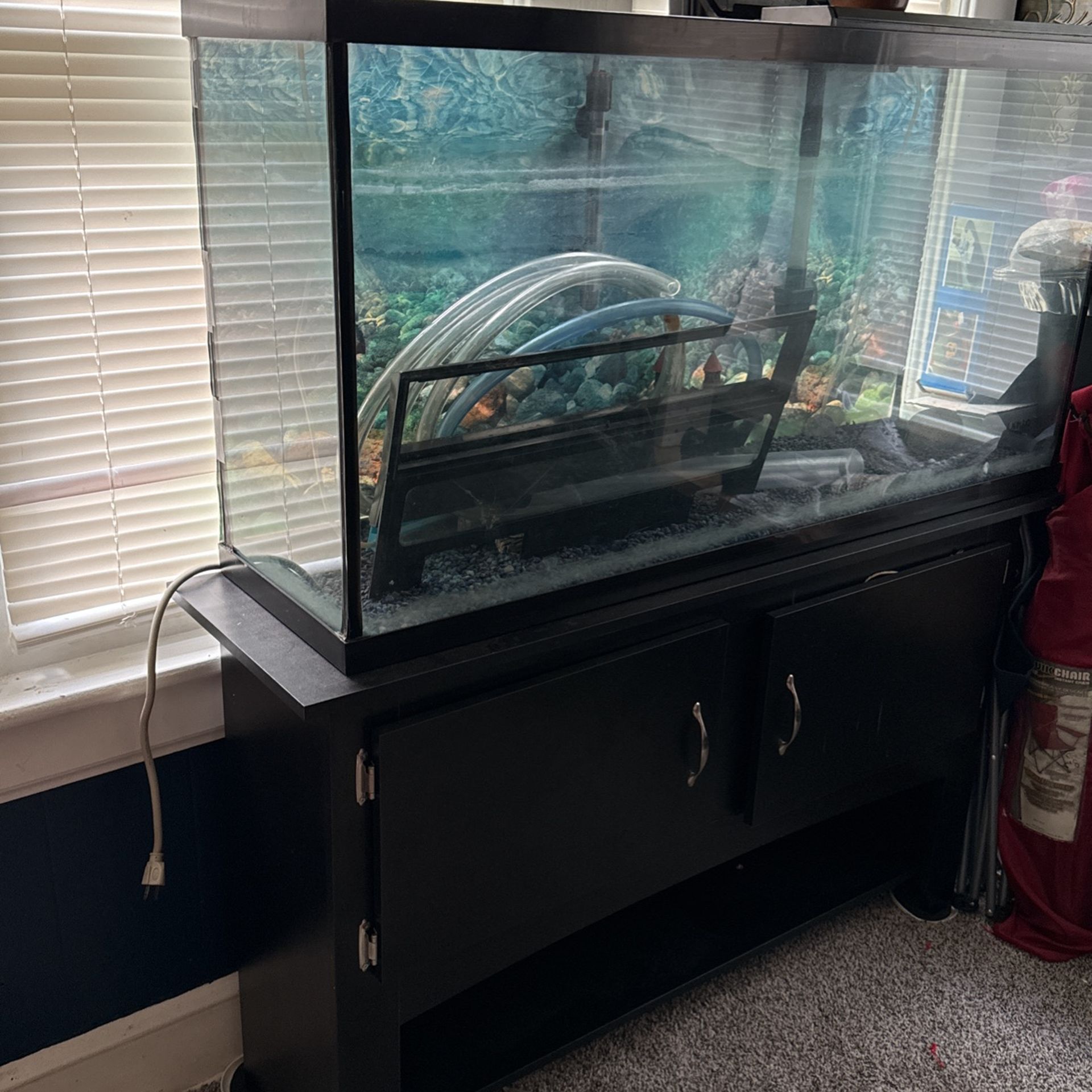 Fish Tank