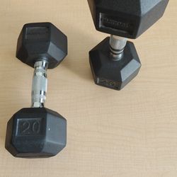 Hampton 2x 20lb dumbbells