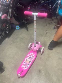 Pink scoter