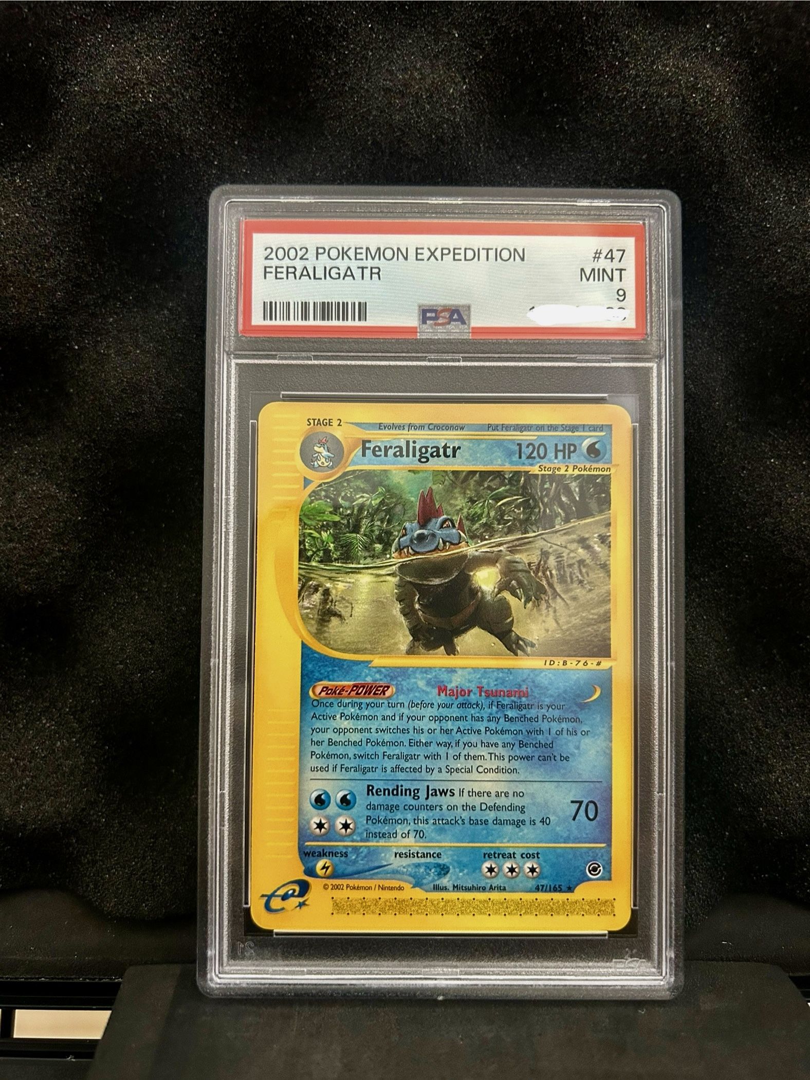 Feraligatr Expedition 