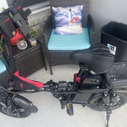 740 Watt E-Bike 48v 17.5AH 