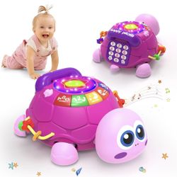 Interactive tortoise baby toy musical new in box