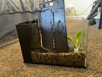 3 Gallon Fish Tank